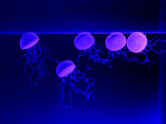 克服变形：在凝胶中进行3D打印