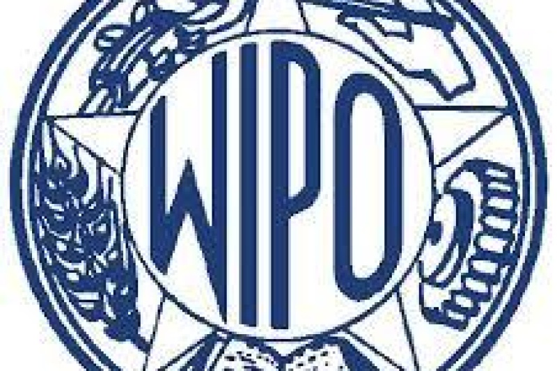 世界知识产权组织：全球1/4的3D打印专利来源于中国