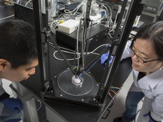 科学家借助3D打印发明两种治疗糖尿病的有效方法