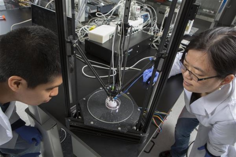 科学家借助3D打印发明两种治疗糖尿病的有效方法