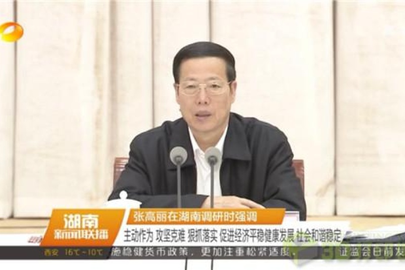 张高丽副总理关注3D打印 高度肯定华曙高科未来发展