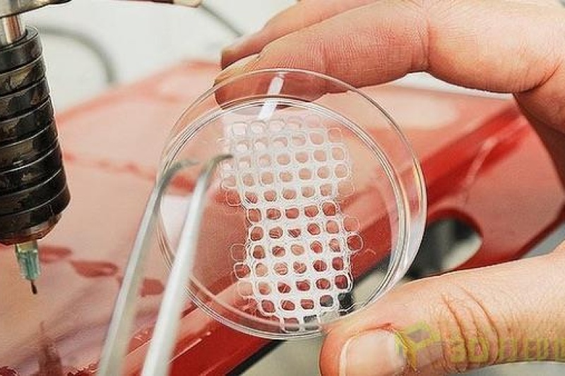 3D打印生物市场迎来进化期 10年内有望突破18亿美元