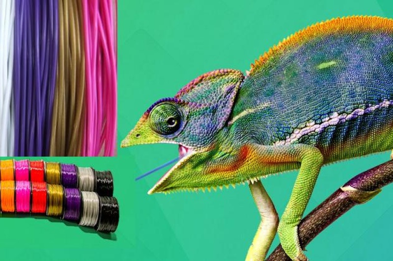 GlobalFSD发布3D打印线材趋势及数据报告