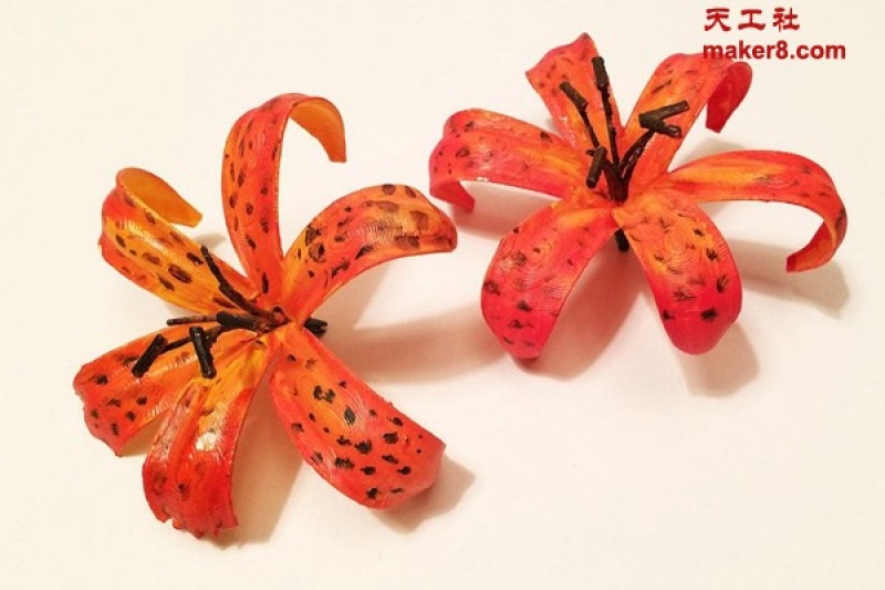 艺术教授用3D打印留住正在消逝的美丽