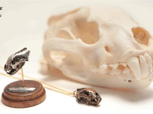 原始玲珑之美 3D打印精致的动物头骨个性项链
