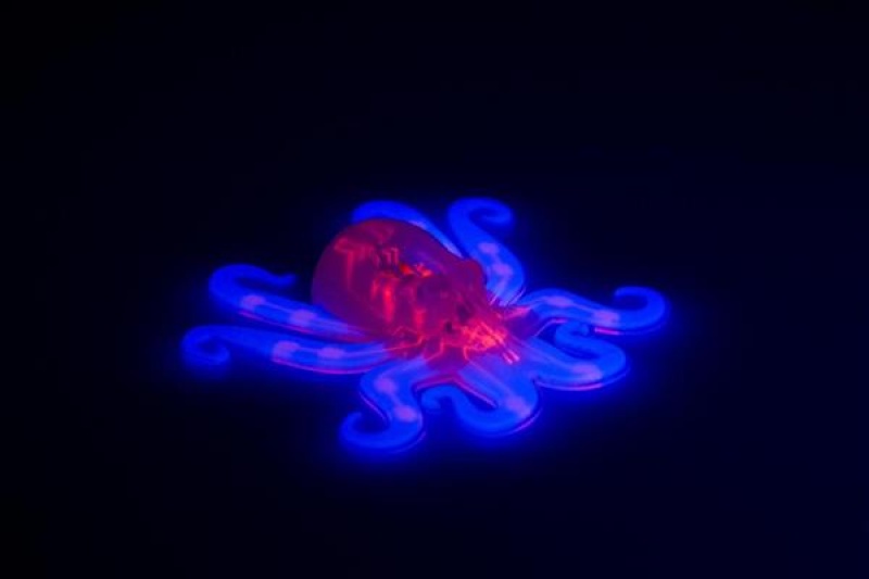 哈佛科学家3D打印出世界首个软体章鱼机器人