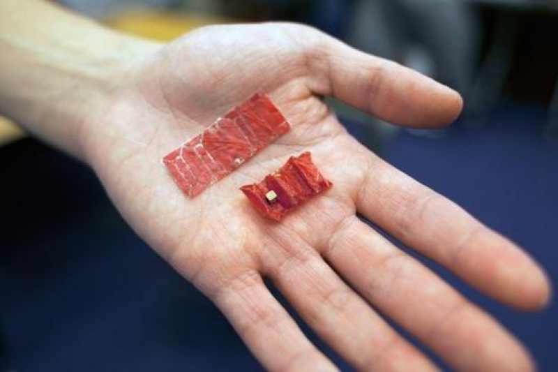 (｡･∀･)ﾉﾞ嗨！3D打印可以吃的机器人要不要吃吃看
