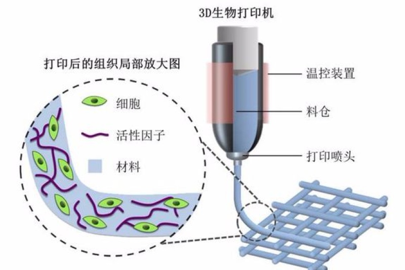 9家海外公司带你预知生物3D打印技术趋势！