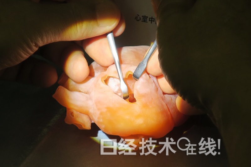 极度仿真！3D打印机制作的“心脏”将在日本量产