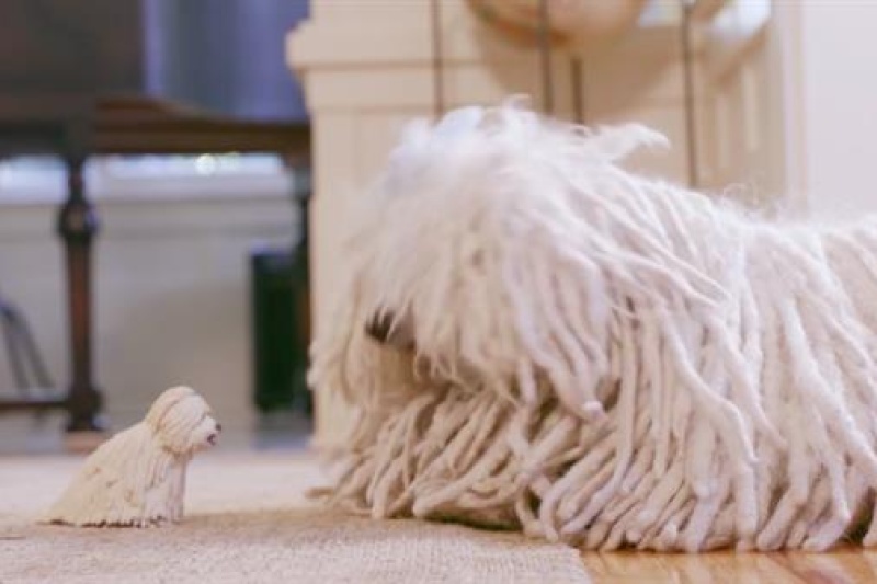 太可爱！扎克伯格送爱犬Beast 3D打印塑像作为生日礼物