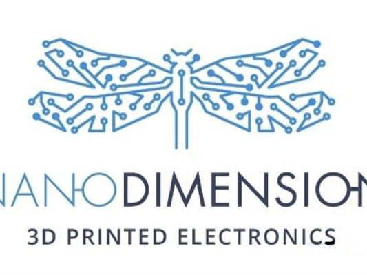 电子3D打印巨头Nano Dimension开设子公司：专注生物3D打印肾脏