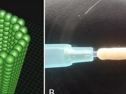 日本研发出可促进神经再生的生物3D打印导管