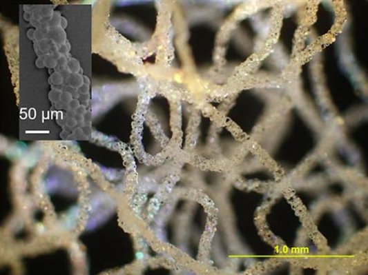 近日硅胶3D打印成香饽饽，看看有哪些新技术进展
