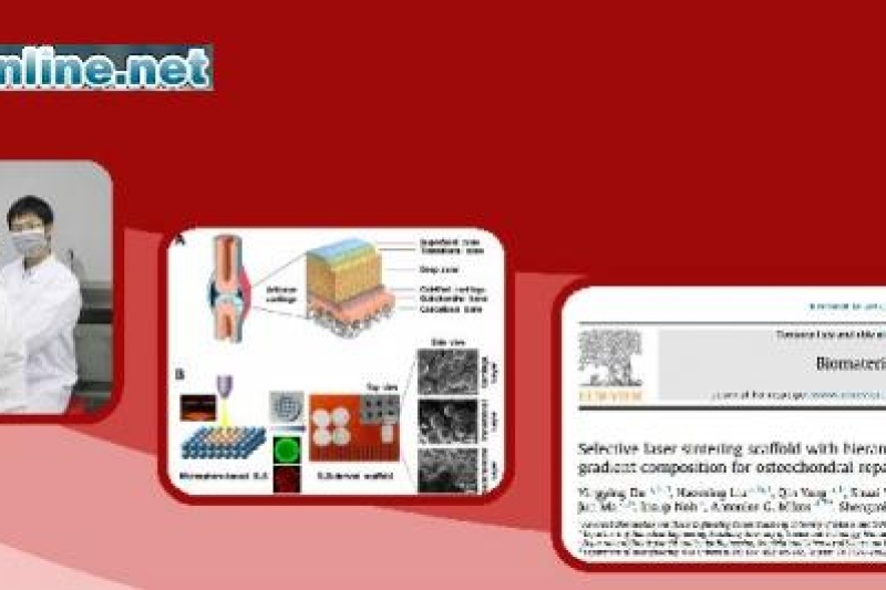 华科大张胜民教授团队在3D打印专用生物材料和再生医学领域获进展