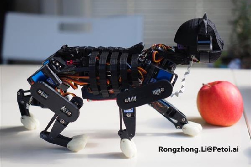 当猫主子不再软萌萌，这个又冷又酷的3D打印机器猫你想要吗？