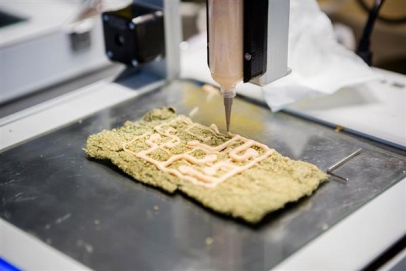吞咽障碍患者福音，迪肯大学3D打印食品研究有了新突破