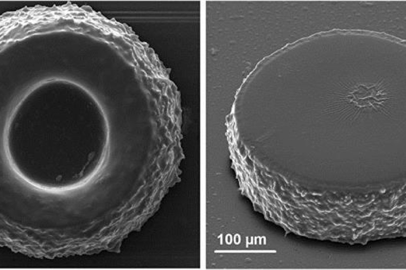俄罗斯科学家利用纳米粒子实现高分辨率激光3D打印