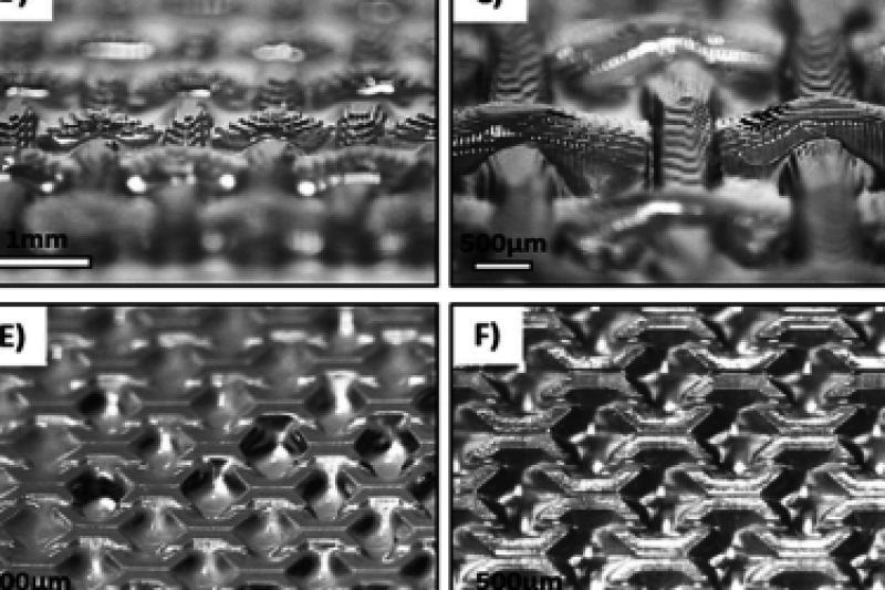 新西兰研究团队研发用于合成组织的DLP 3D打印生物树脂