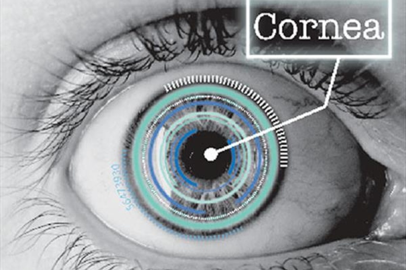 这个第一家在动物身上移植3D打印眼角膜的公司有新动作