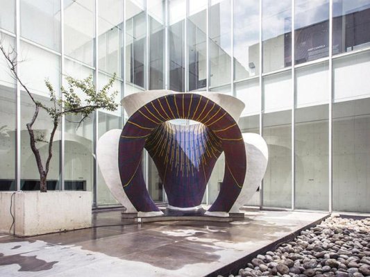 墨西哥城惊现3D编织“奇葩”