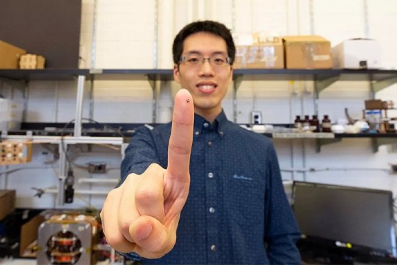 磁驱动折叠机器人，3D打印仅需20分钟