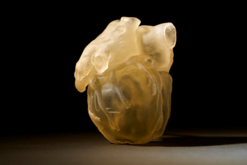 Stratasys发布数字解剖3D打印机 可制作接近真实产品的功能性解剖模型