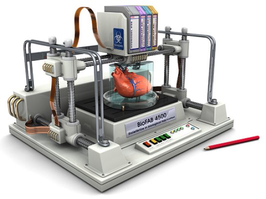 新研究用生物3D打印技术“打印”出微型肾脏