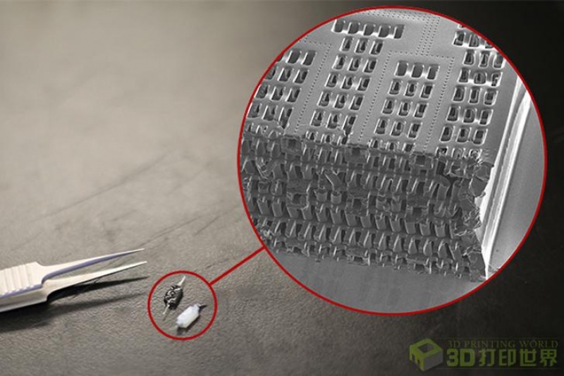 多伦多大学研发“Person-on-a-Chip” 技术 可实现3D打印心脏与肝脏相互作用