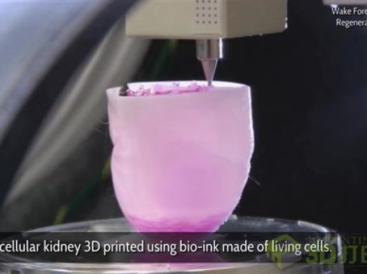 【视频】国外生物3D打印的惊喜突破