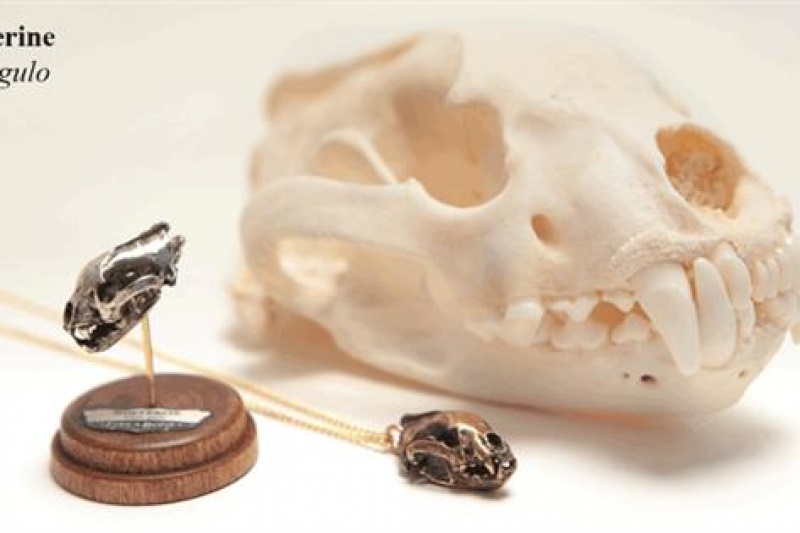 原始玲珑之美 3D打印精致的动物头骨个性项链