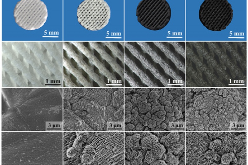 上海硅酸盐所在3D打印多功能支架材料研究中取得重要进展