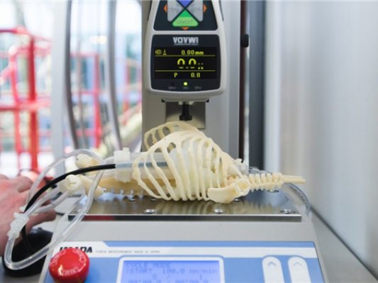 医学神助攻：3D打印婴儿骨骼可为培训医生提供重要数据反馈