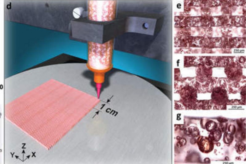 4D打印硅胶技术成新贵，LLNL又发明拥有形状记忆新方法