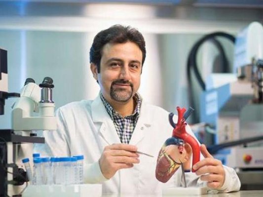 加拿大3D打印心脏“补丁”可能颠覆心脏病治疗方法