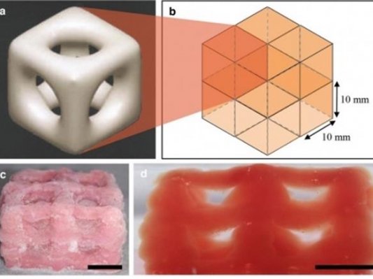 干冰新用法，3D打印+低温冷冻技术打造仿真人体的组织和器官