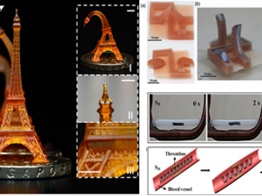 哈尔滨工业大学《中国科学》综述：基于形状记忆聚合物材料的4D打印技术