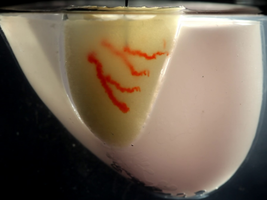 哈佛大学开发新型墨水写入技术生物3D打印大型血管化人体器官